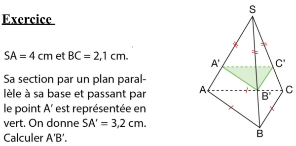 Révision DNB : Section d’une pyramide par un plan parallèle à sa base ...